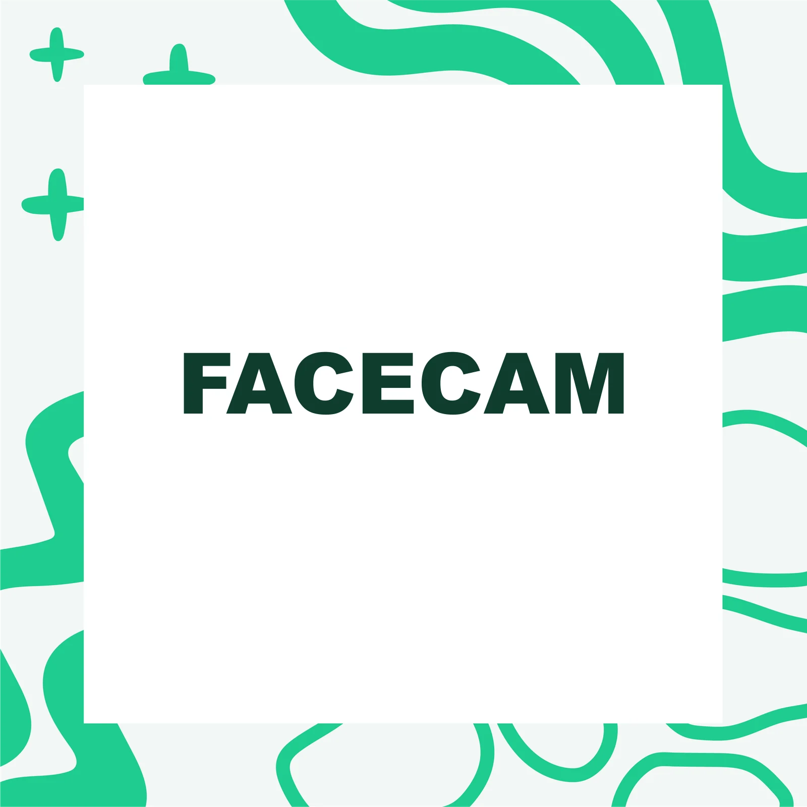 Facecam